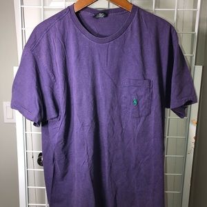 Polo Ralph Lauren T-shirt (Purple green logo)
